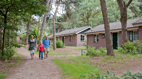 aanbieding-Bospark De Bikkels-boeken