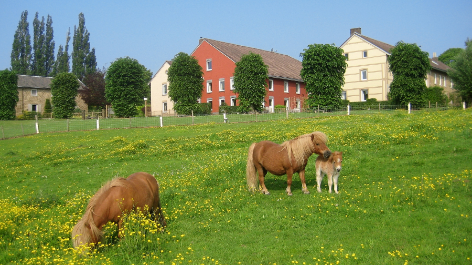 aanbieding-Bungalowpark Landsrade-boeken