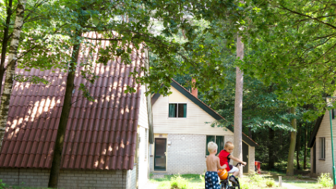 aanbieding-Oostappen park Boschbeek-boeken