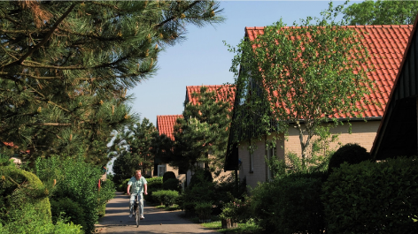 aanbieding-Roompot Kustpark Klein Poelland-boeken