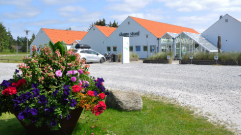 aanbieding-Skagen Strand-boeken