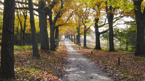 aanbieding-Vakantiepark De Lindenberg-boeken