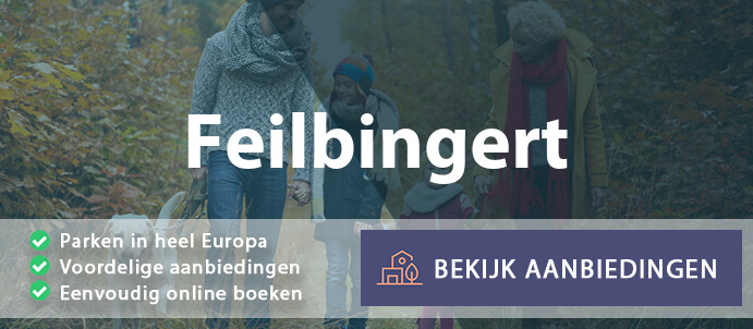 vakantieparken-feilbingert-duitsland-vergelijken