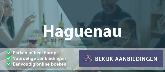 vakantieparken-haguenau-frankrijk-vergelijken